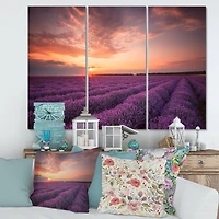 Designart - Sunrise & Dramatic Clouds Over Lavender Field XII