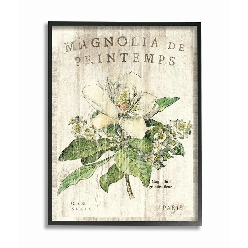 Stupell Industries French Magnolias in Spring with Black Frame Wall Accent
