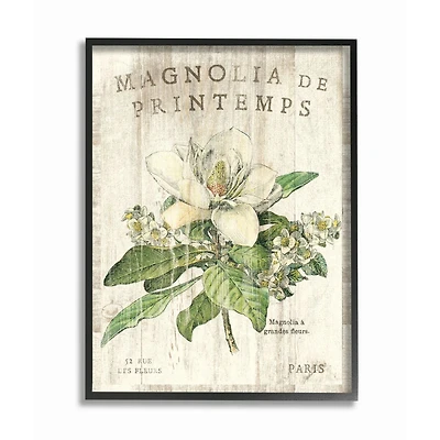 Stupell Industries French Magnolias in Spring with Black Frame Wall Accent