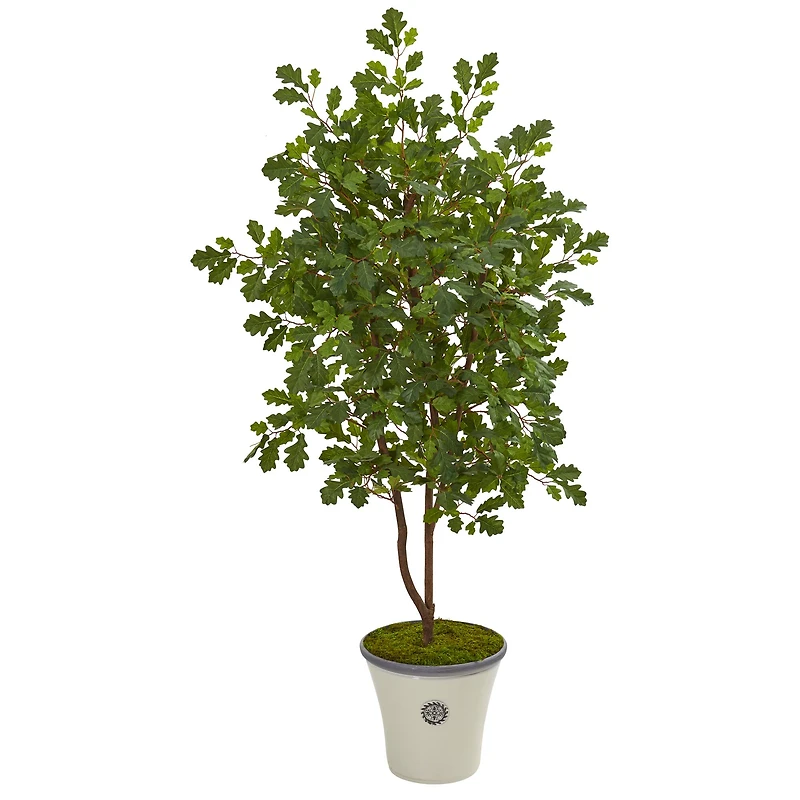 4.5ft. Oak Tree in Decorative Planter