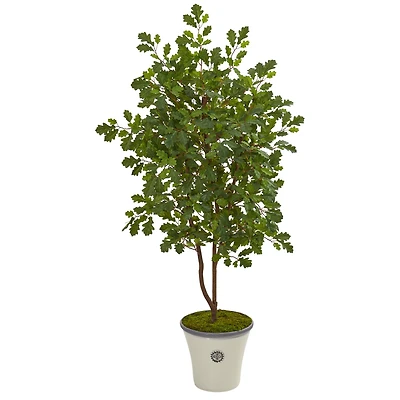 4.5ft. Oak Tree in Decorative Planter