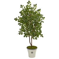 4.5ft. Oak Tree in Decorative Planter