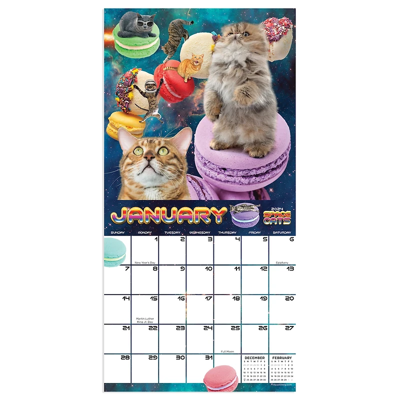TF Publishing Space Cats Mini Calendar