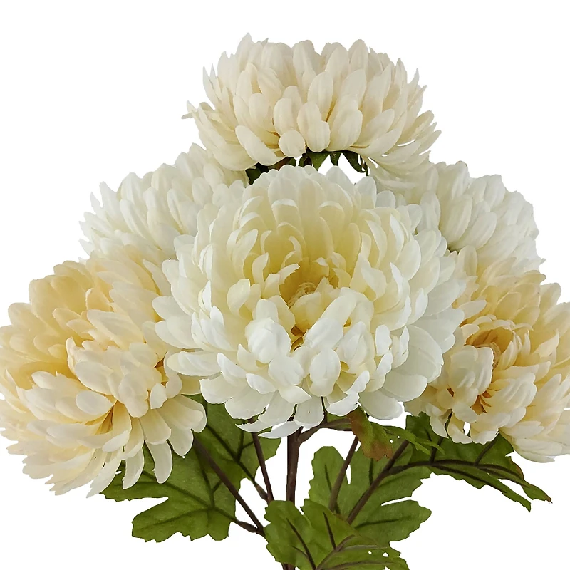 17" Mum Bush by Ashland