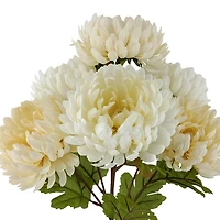 17" Mum Bush by Ashland