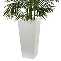 5ft. Areca Palm Tree in White Planter