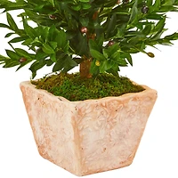 3ft. UV Resistant Olive Cone Topiary Tree in Terra Cotta Planter