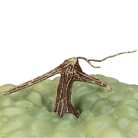 10.5" Green Textured Pumpkin Tabletop Décor