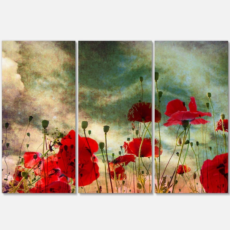 Designart - Wild Red Poppy Flowers in Sky