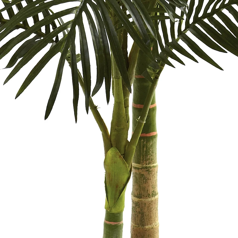 5ft. Potted Golden Cane Palm Tree