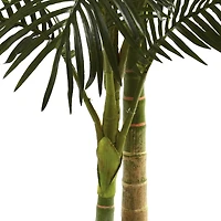 5ft. Potted Golden Cane Palm Tree