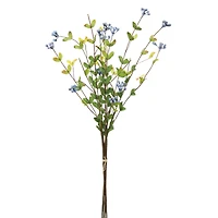 Blue Berry Bundle Set