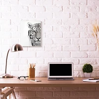 Stupell Industries Black & White Tiger Close Up Wall Plaque
