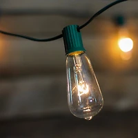 20ct. Clear Mini Edison Christmas String Lights