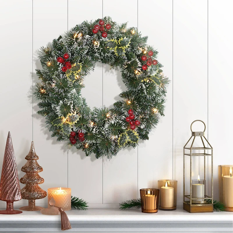 24" Pre-Lit Snowy Silverton Pine Wreath