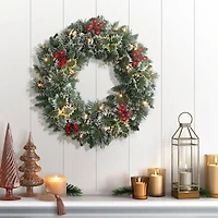 24" Pre-Lit Snowy Silverton Pine Wreath