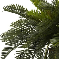 19" Double Cycas with Vase