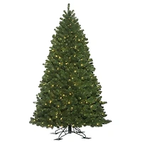 5.5ft. Pre-Lit Oregon Fir Outdoor Artificial Christmas Tree, Warm White Wide Angle LED Lights