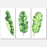 Designart - Tropical Banana Leaves Set