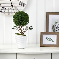 19" Boxwood Topiary Tree in White Vase