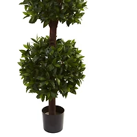 6.5ft. Potted Sweet Bay Triple Ball Topiary Plant