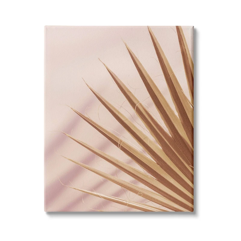 Stupell Industries Palm Frond Photograph Expressive Tropical Plant Sun Bleached Canvas Wall Art