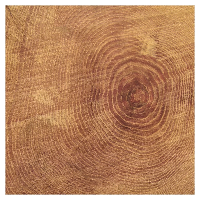 Outdoors Double-Sided Cardstock Paper by Recollections™, 12" x 12"