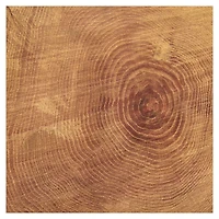 Outdoors Double-Sided Cardstock Paper by Recollections™, 12" x 12"