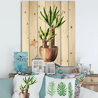 Designart - Yucca Tree In The Ceramic Flower Pot