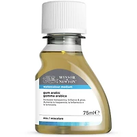 6 Pack: Winsor & Newton™ Gum Arabic Watercolor Medium, 75mL