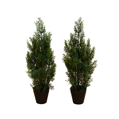 2ft. Potted UV Resistant Cedar Pine Trees, 2ct.