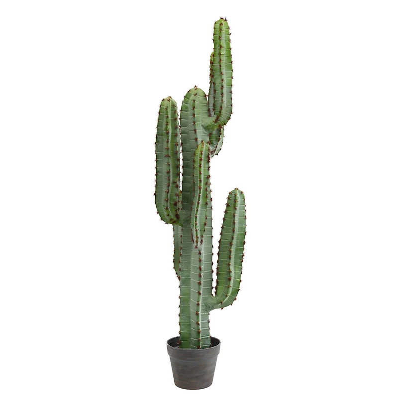 4ft. Potted Green Finger Cactus
