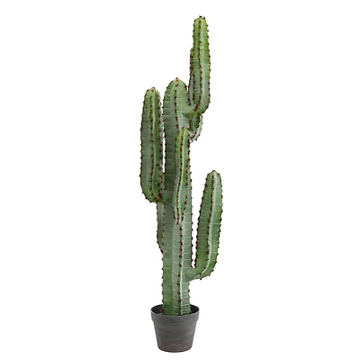 4ft. Potted Green Finger Cactus