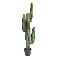 4ft. Potted Green Finger Cactus