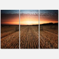 Designart - Landscape With A Field Full of Hay Bales At Sunset