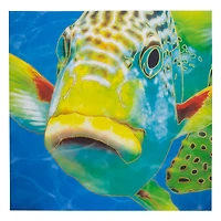 Fish Lips Outdoor Canvas Art Print - 35"x35"