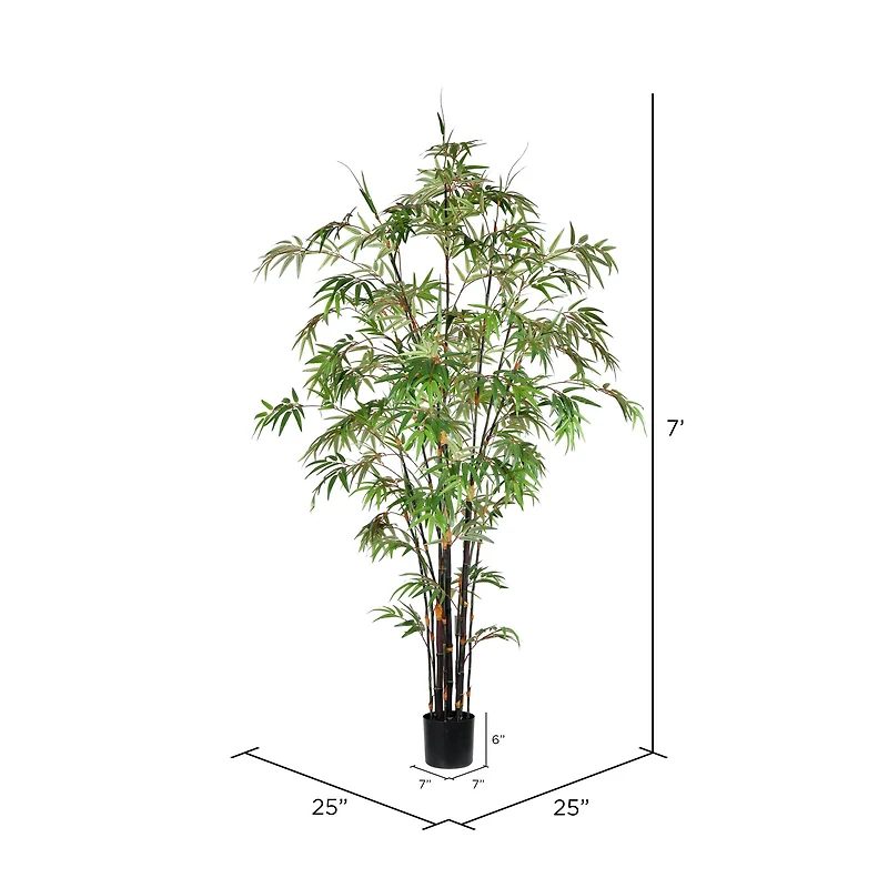 7ft. Potted Black Japanese Bamboo Tree