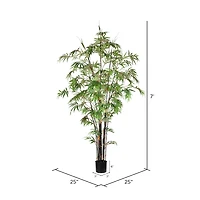 7ft. Potted Black Japanese Bamboo Tree