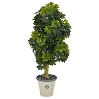 5ft. Umbrella Tree in Decorative Planter