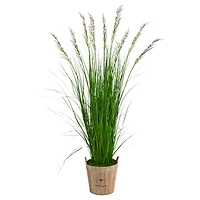 6ft. Grass Plant in Farmhouse Planter