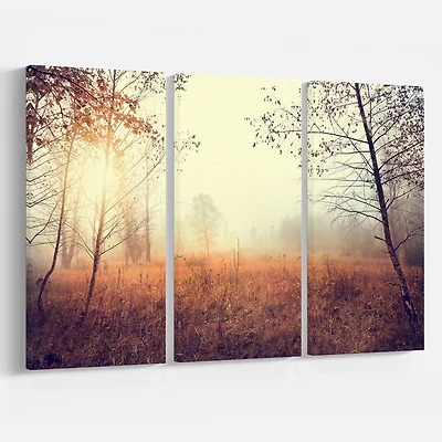 Designart - Charming Rural Field in Morning