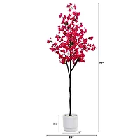 6ft. Bougainvillea Tree with White Decorative Planter