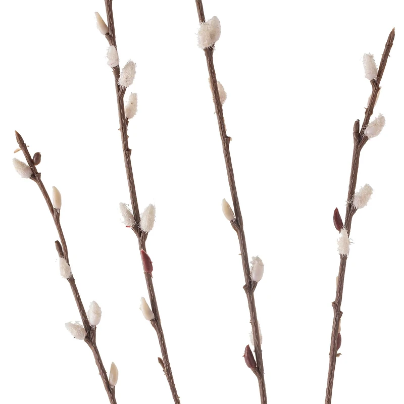 Pussy Willow Stem by Ashland®