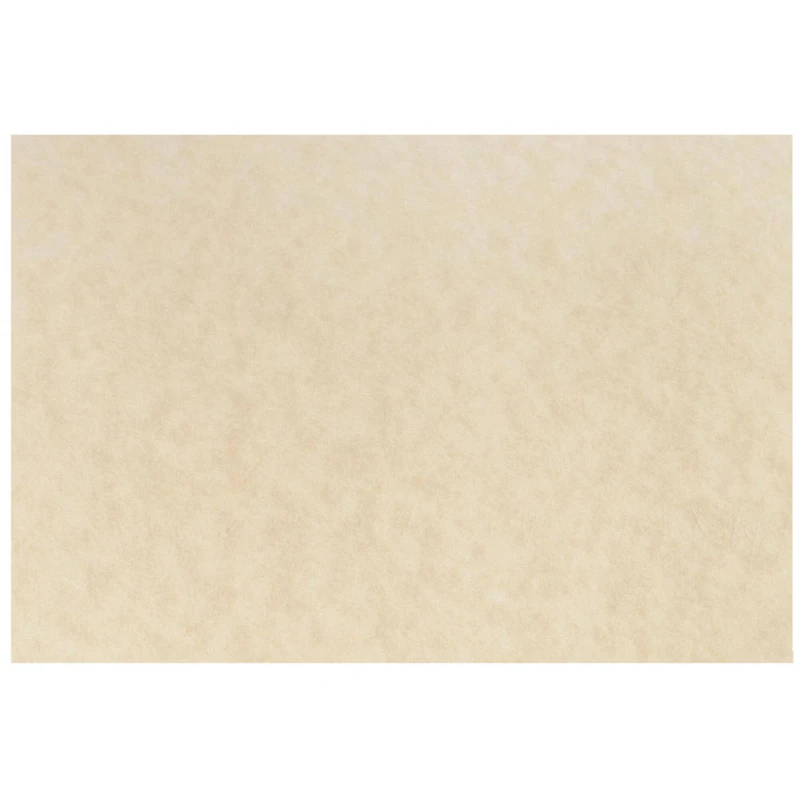 JAM Paper Natural Parchment Blank Note Cards