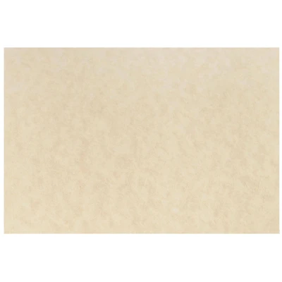 JAM Paper Natural Parchment Blank Note Cards