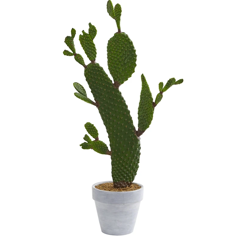 2ft. Cactus Plant in White Planter