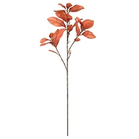 37" Orange Magnolia Leaf Stem by Ashland®