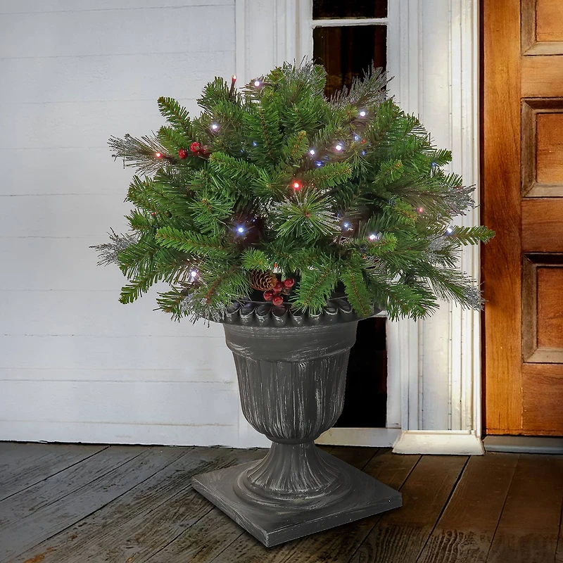 24" Pre-Lit Crestwood® Spruce Porch Bush in Silver Brushed Plastic Urn, Twinkly™ LED Lights