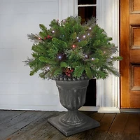 24" Pre-Lit Crestwood® Spruce Porch Bush in Silver Brushed Plastic Urn, Twinkly™ LED Lights