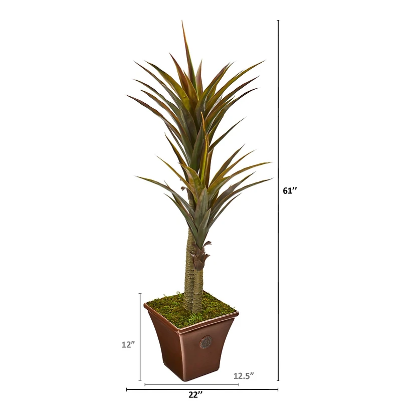 5ft. Green Yucca Tree in Planter